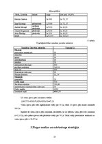 Biznesa plāns 'Biznesa plāns SIA "Finišs"', 22.