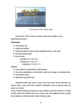 Biznesa plāns 'Biznesa plāns SIA "Finišs"', 32.