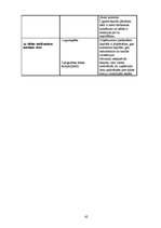 Biznesa plāns 'Biznesa plāns SIA "Finišs"', 44.