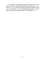 Biznesa plāns 'Biznesa plāns SIA "Finišs"', 51.