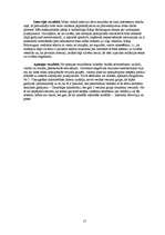 Referāts 'Radioaktīvais fons', 17.