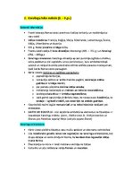 Konspekts 'Pasaules mākslas vēsture', 10.