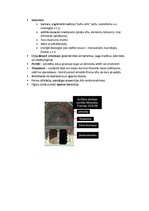 Konspekts 'Pasaules mākslas vēsture', 19.