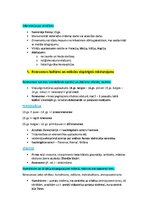 Konspekts 'Pasaules mākslas vēsture', 32.