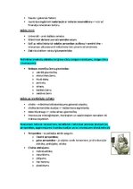 Konspekts 'Pasaules mākslas vēsture', 34.