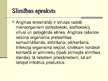 Prezentācija 'Angīna', 3.