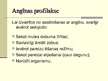 Prezentācija 'Angīna', 8.