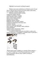 Referāts 'Optiskie instrumenti', 6.
