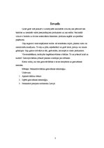 Referāts 'Šašlika ražošanas tehnoloģija', 3.