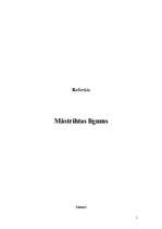 Referāts 'Māstrihtas līgums', 1.