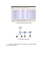 Konspekts 'OpenFlow protokola darbības izpēte Mininet vidē', 4.