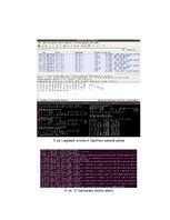 Konspekts 'OpenFlow protokola darbības izpēte Mininet vidē', 5.