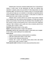 Referāts 'Pārtikas piedevu ietekme uz cilvēka veselību', 4.