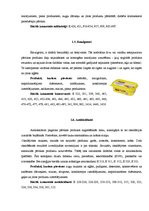 Referāts 'Pārtikas piedevu ietekme uz cilvēka veselību', 8.