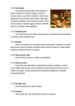 Referāts 'Pārtikas piedevu ietekme uz cilvēka veselību', 10.