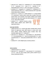 Referāts 'Pārtikas piedevu ietekme uz cilvēka veselību', 16.