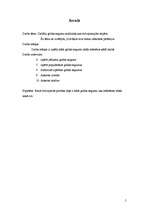 Referāts 'Grīdas segumi', 3.