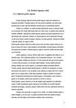 Referāts 'Grīdas segumi', 6.