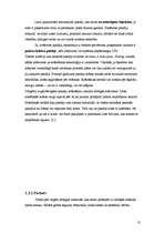 Referāts 'Grīdas segumi', 8.