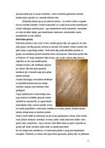 Referāts 'Grīdas segumi', 9.