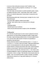 Referāts 'Grīdas segumi', 10.