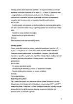 Referāts 'Grīdas segumi', 11.