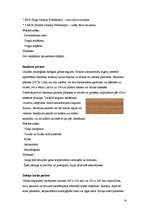 Referāts 'Grīdas segumi', 12.