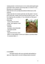 Referāts 'Grīdas segumi', 13.