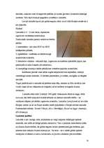 Referāts 'Grīdas segumi', 14.