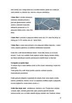 Referāts 'Grīdas segumi', 17.