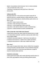 Referāts 'Grīdas segumi', 18.