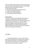 Referāts 'Grīdas segumi', 19.