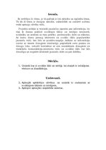 Prezentācija 'Sociālie tīkli cilvēku dzīvē', 3.