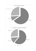 Prezentācija 'Sociālie tīkli cilvēku dzīvē', 13.