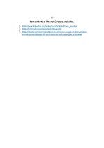 Prezentācija 'Sociālie tīkli cilvēku dzīvē', 15.