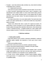 Prakses atskaite 'A/s "Dobeles Dzirnavnieks"', 20.