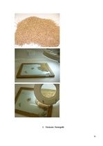 Prakses atskaite 'A/s "Dobeles Dzirnavnieks"', 30.