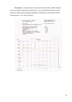Prakses atskaite 'A/s "Dobeles Dzirnavnieks"', 31.