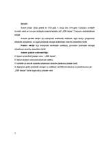 Prakses atskaite 'A/S "SEB banka"', 2.