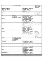 Konspekts 'Talismani', 4.