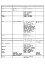 Konspekts 'Talismani', 9.