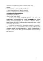 Referāts 'Sabiedrisko attiecību analīze organizācijā', 11.