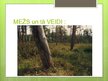 Prezentācija 'Meža ekosistēma', 2.