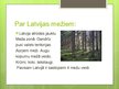 Prezentācija 'Meža ekosistēma', 3.