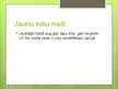 Prezentācija 'Meža ekosistēma', 6.