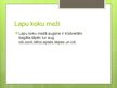 Prezentācija 'Meža ekosistēma', 7.
