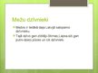 Prezentācija 'Meža ekosistēma', 8.