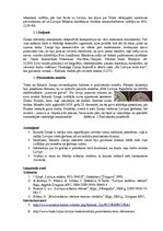 Konspekts 'Kopsavilkums kultūras vēsturē -Grafikas vispārējs raksturojums, latviešu grafiķi', 2.