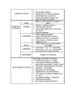 Konspekts 'Bērna attīstība', 3.