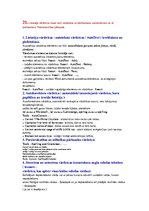 Konspekts 'Datormācība', 17.